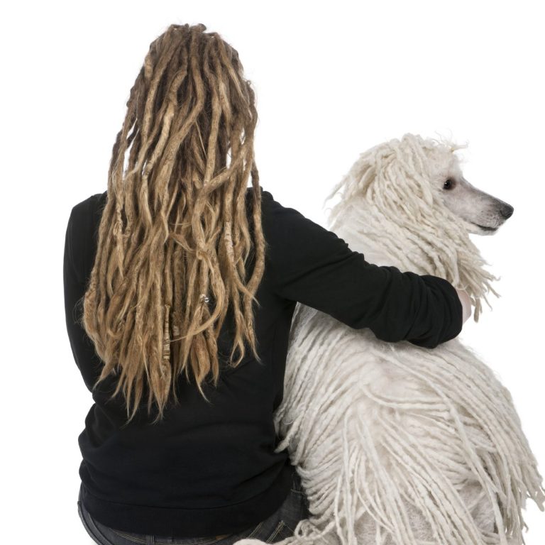 Person mit Dreadlocks umarmt einen weißen Hund, der ebenfalls Dreadlocks hat in Ansicht von hinten.